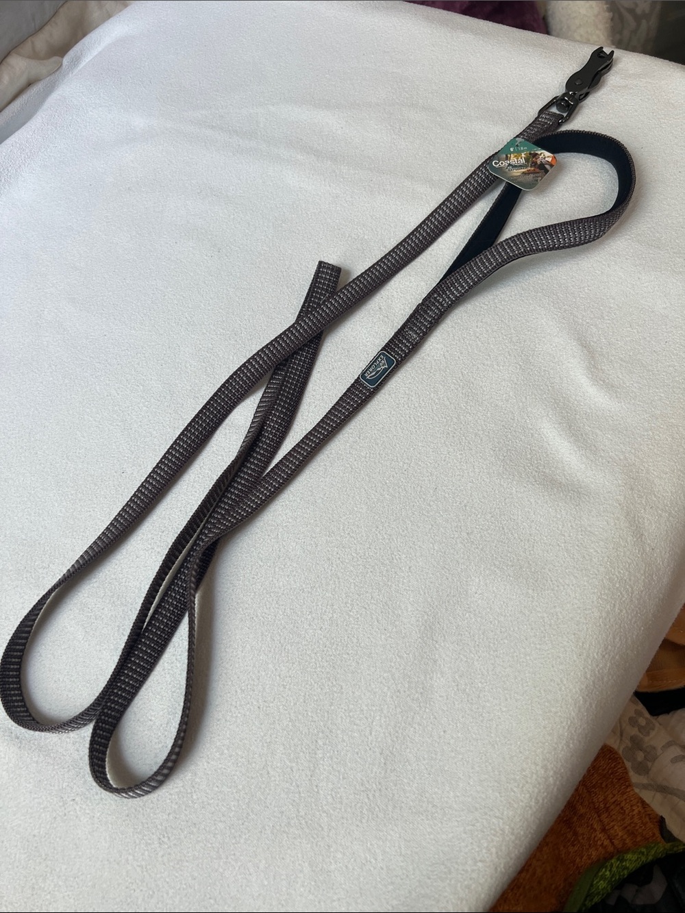 K9 Explorer Brights Reflective 6’ Dog Leash